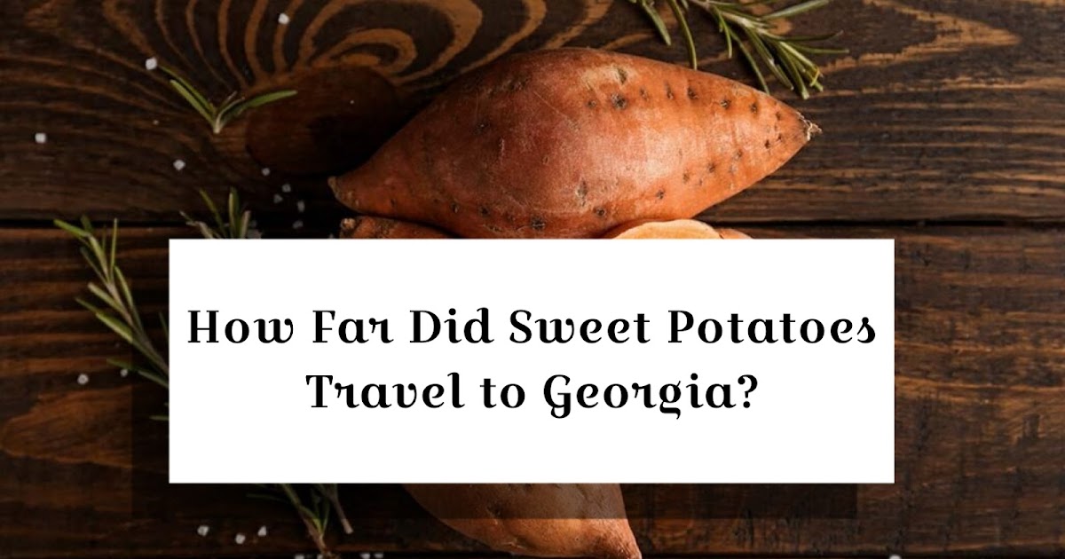 How Far Did Sweet Potatoes Travel to Georgia?