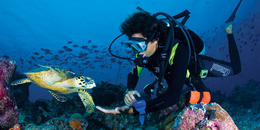 Maldives Travel Guide – Scuba diver interacting with a sea turtle in the vibrant coral reefs of the Maldives, showcasing an unforgettable underwater adventure.